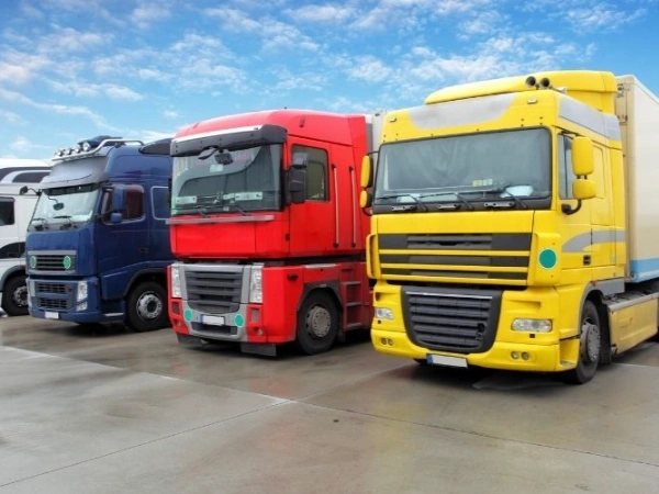 İzmir Dikili Nakliye